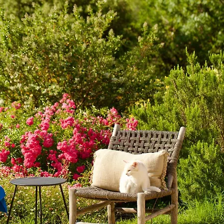 Casa Bukit * Pierrerue (Herault)