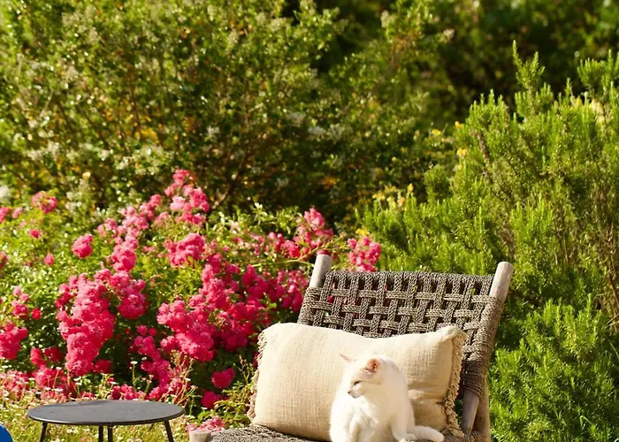 Casa Bukit * Pierrerue (Herault)